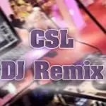 djz remixes